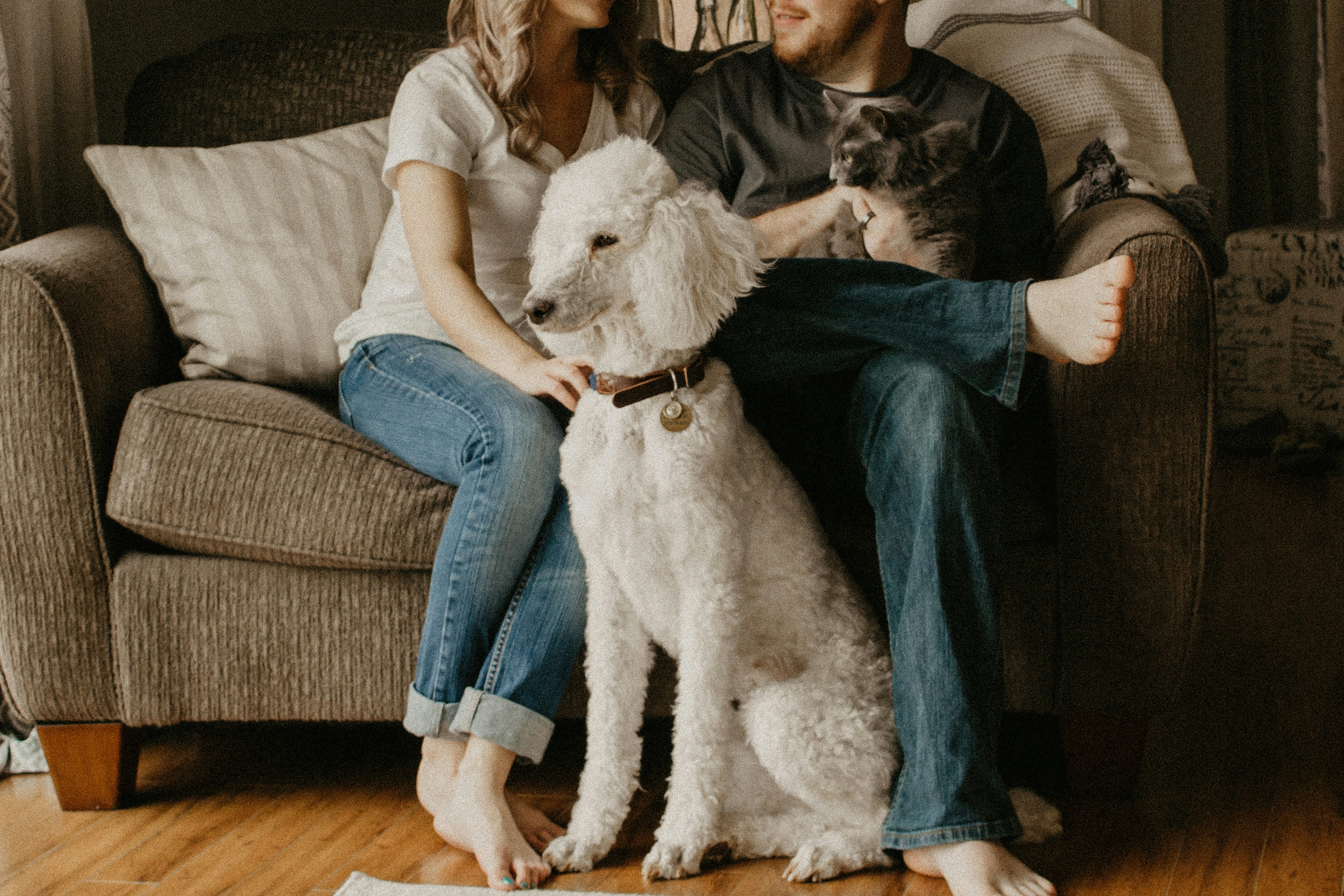 Pet Ownership in America